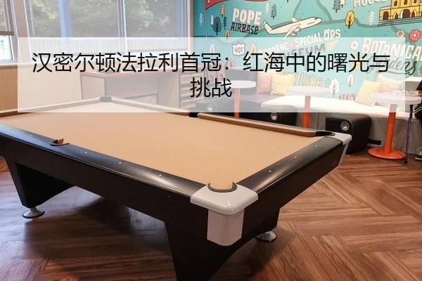 han-mi-er-dun-fa-la-li-shou-guan-hong-hai-zhong-de-shu-guang-yu-tiao-zhan-3-125.jpg