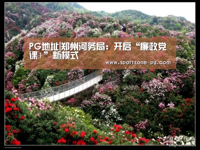 PG体育